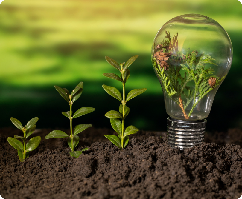 Sustainability